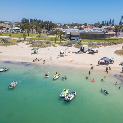 a flock of seagulls standing on a beach