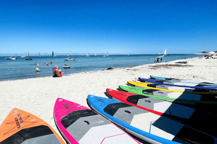 paddle boards